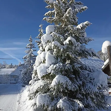 Haus Hornblick Russbach am Pass Gschütt